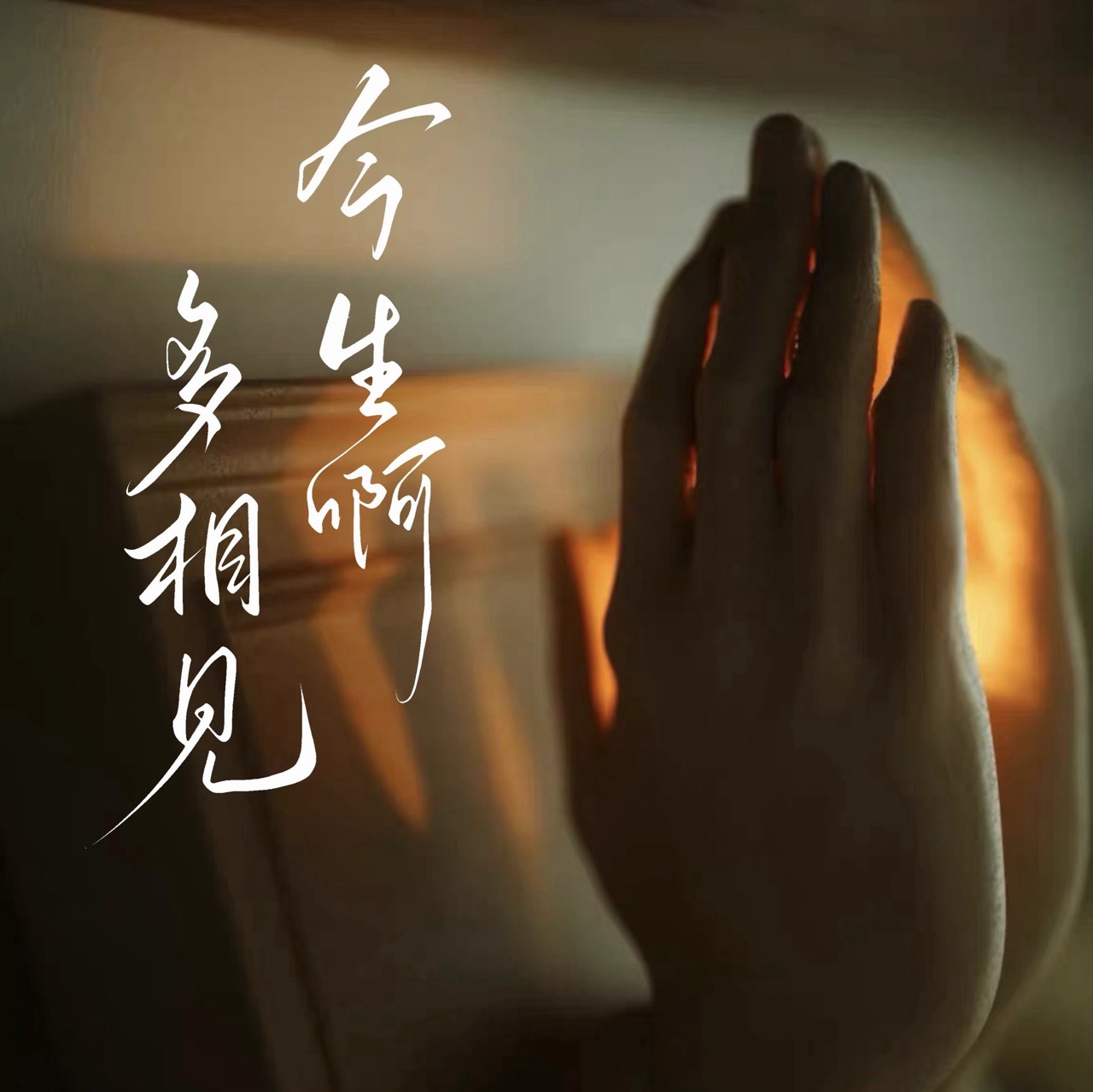 今生啊 多相见-万仁-封面图、今生啊 多相见