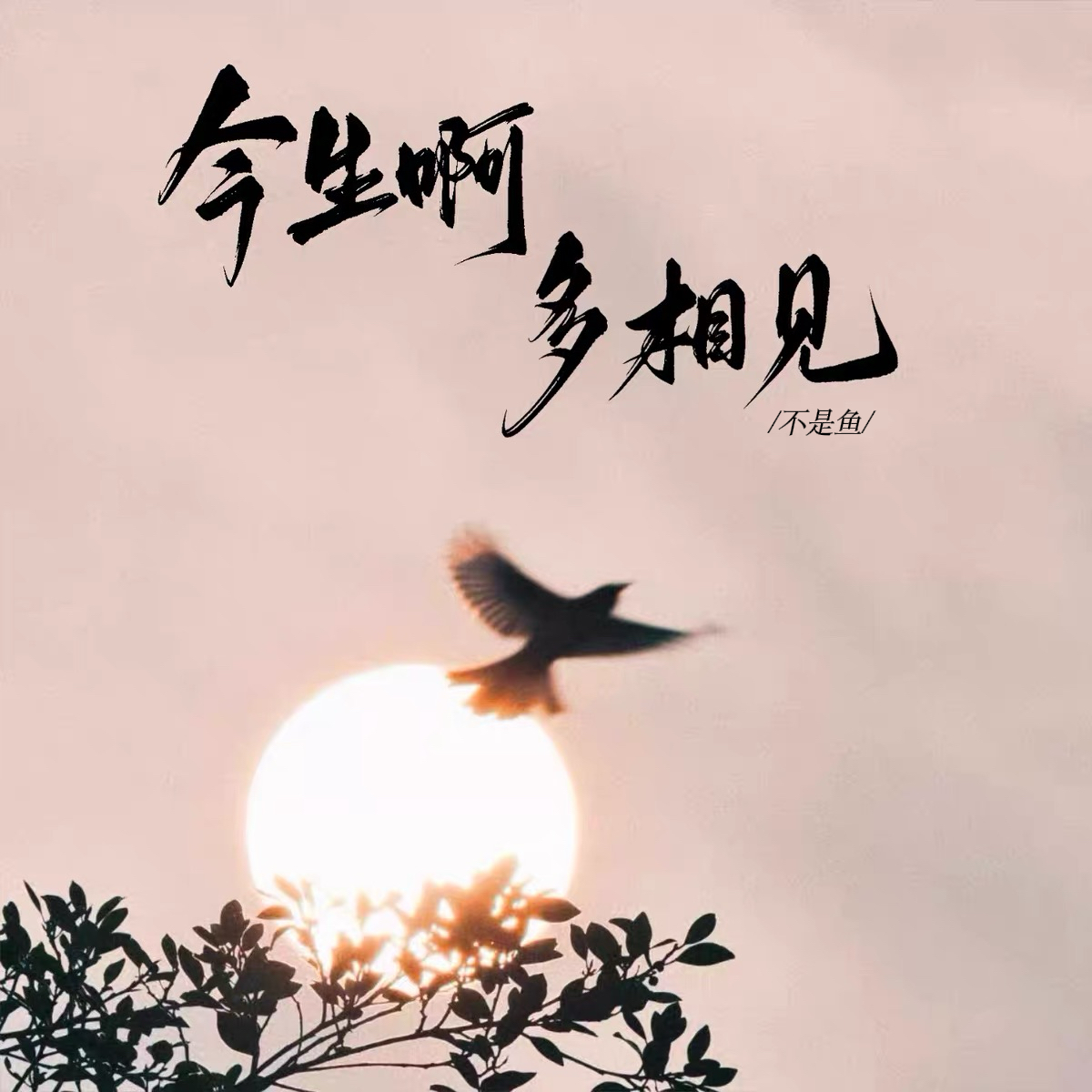 今生啊 多相见(女版)-不是鱼-封面图、今生啊 多相见(女版)