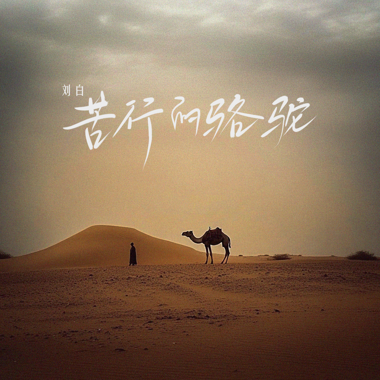 苦行的骆驼-刘白-封面图、苦行的骆驼