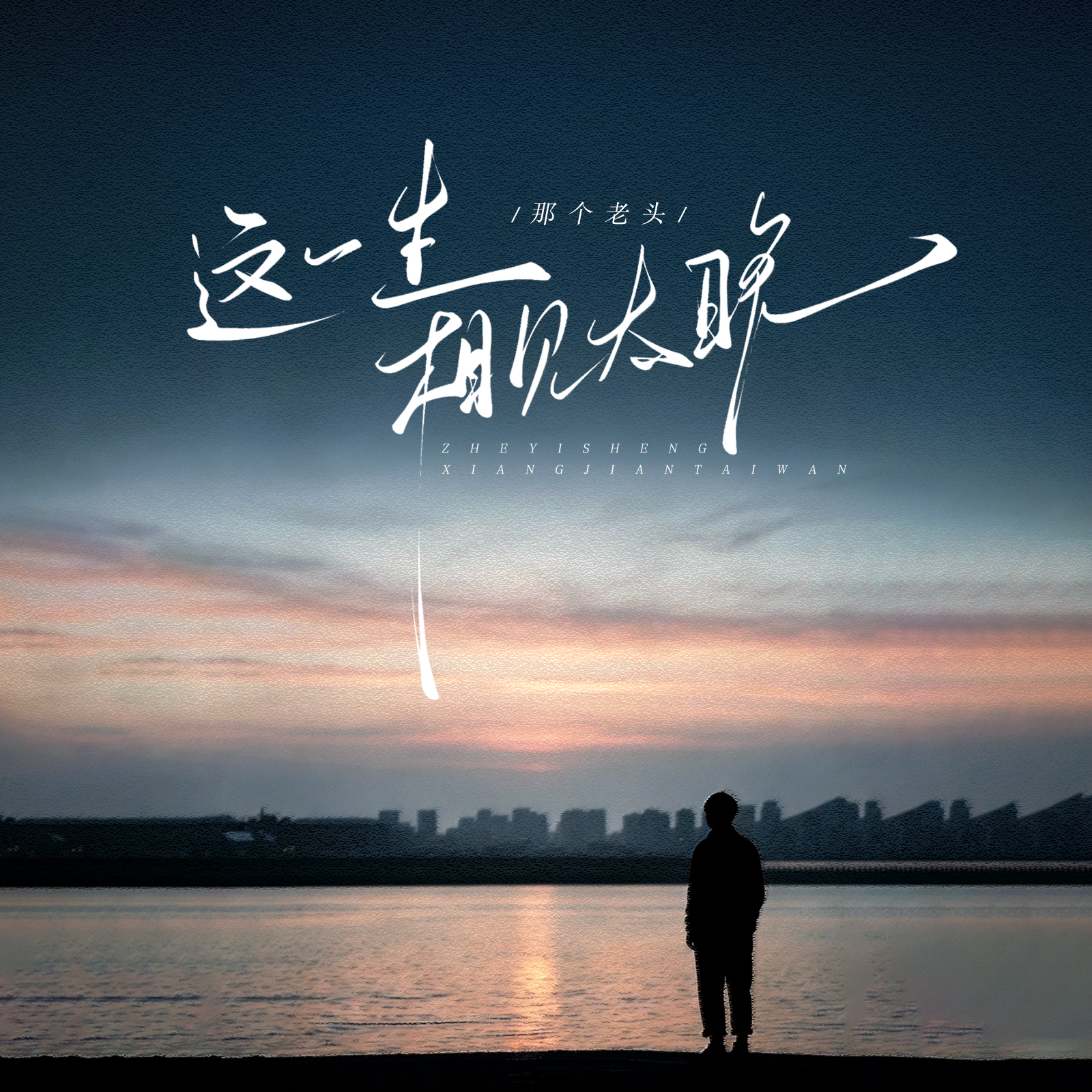 这一生相见太晚-那个老头-封面图、这一生相见太晚